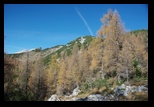 Triglav -Pokljuka -26-10-2013 - Bogdan Balaban